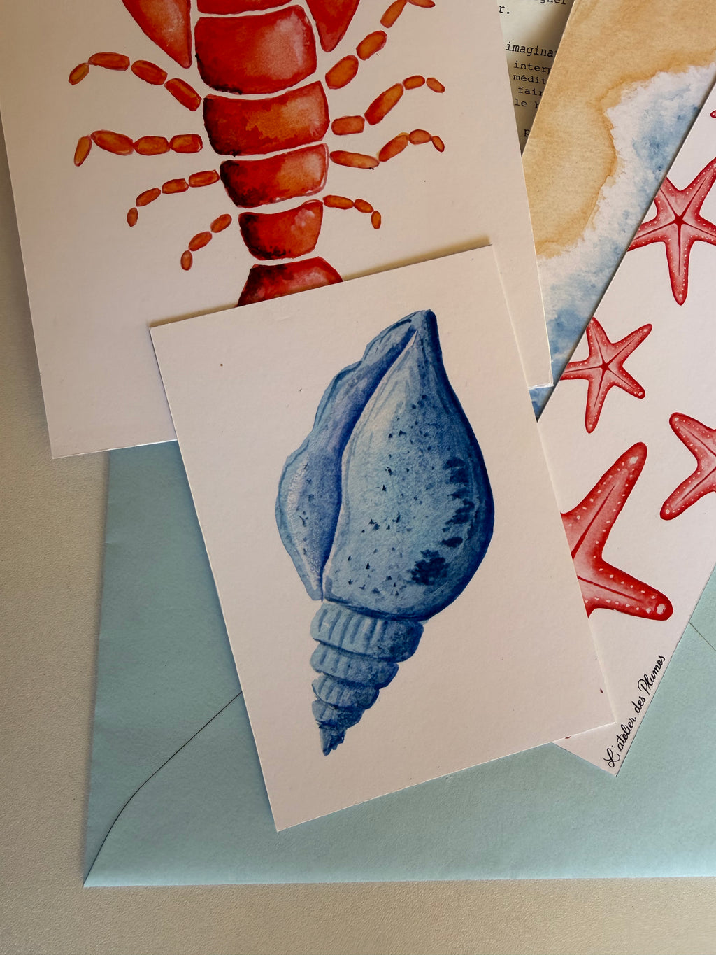 Le Courrier des Plumes – Numéro unique