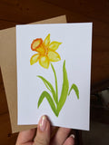 Carte Jonquille – Moments Fleuris